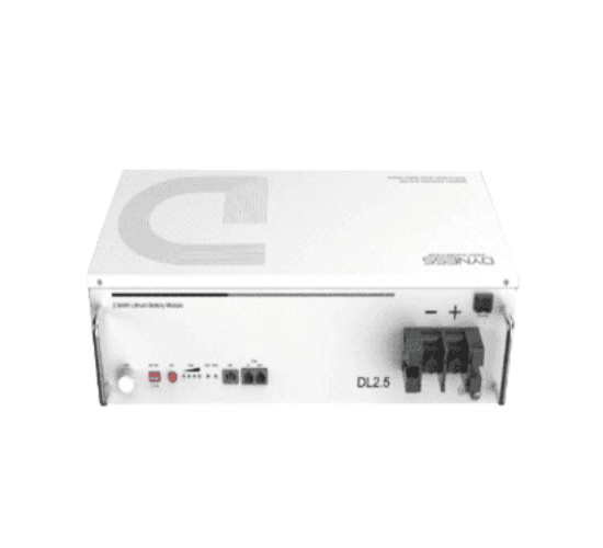 Dyness 25.6V 100Ah DL2.5 Lithium Battery IP20 LV (7Y)